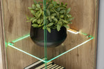 Glass cabinet shelf with potted plant and green accent LED lighting