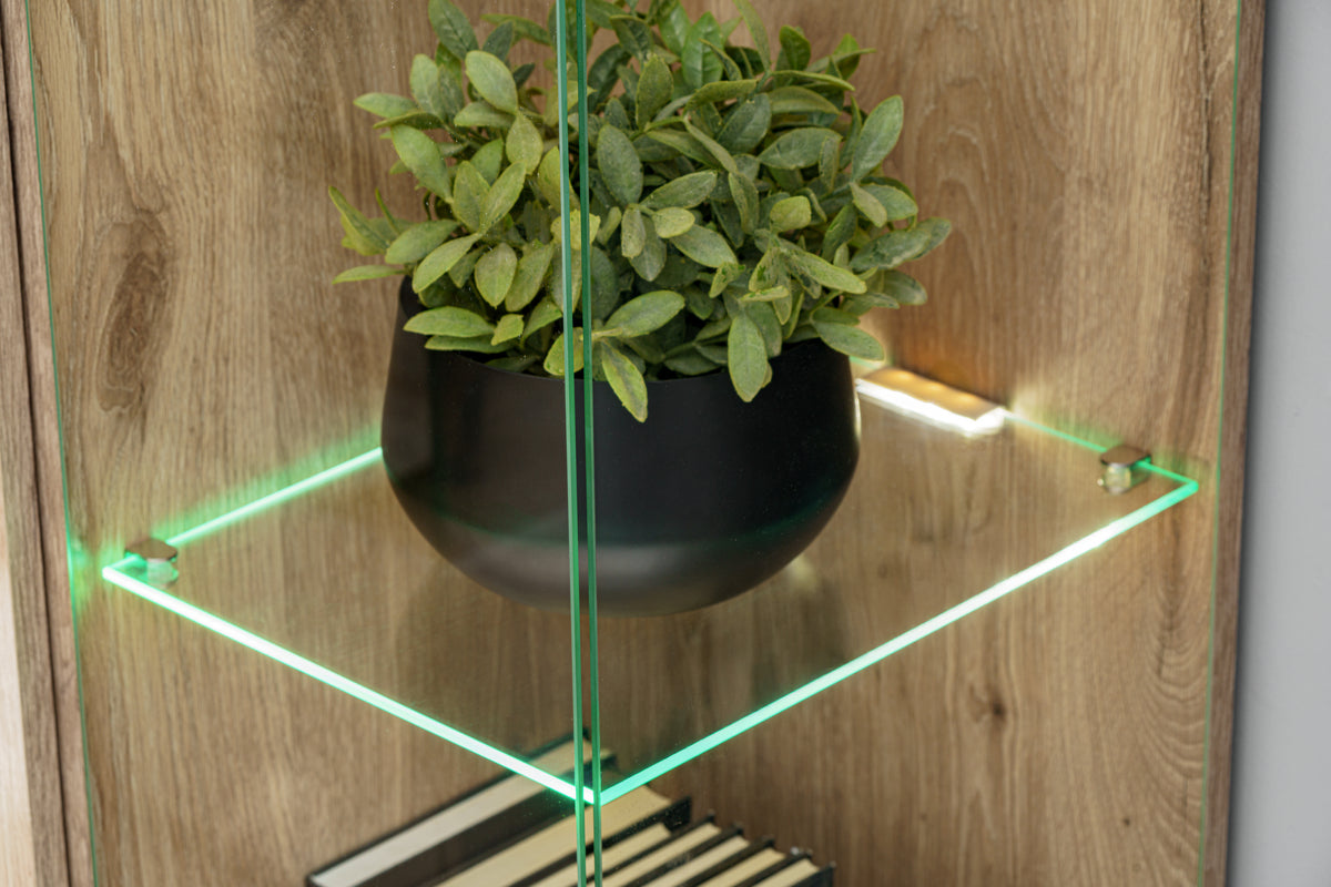 Glass cabinet shelf with potted plant and green accent LED lighting