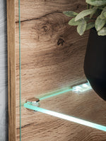 Wood cabinet interior with glass shelf and cool LED light strip